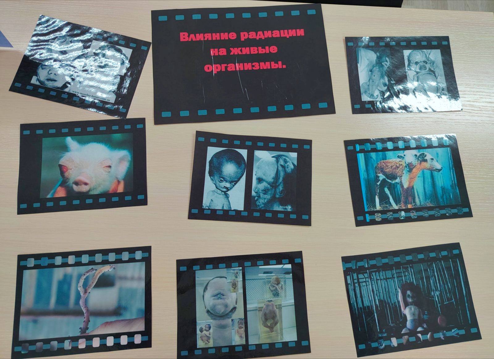 photo 2026-04-29 19-22-36